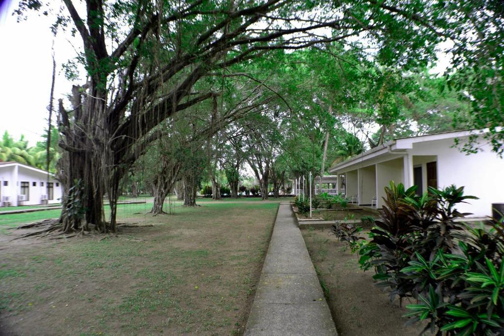 Hotel La Isla Parrita Esterno foto